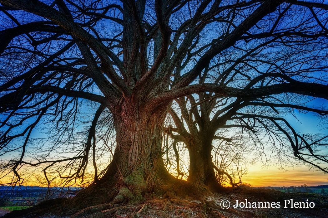 how to add a watermark to a photo