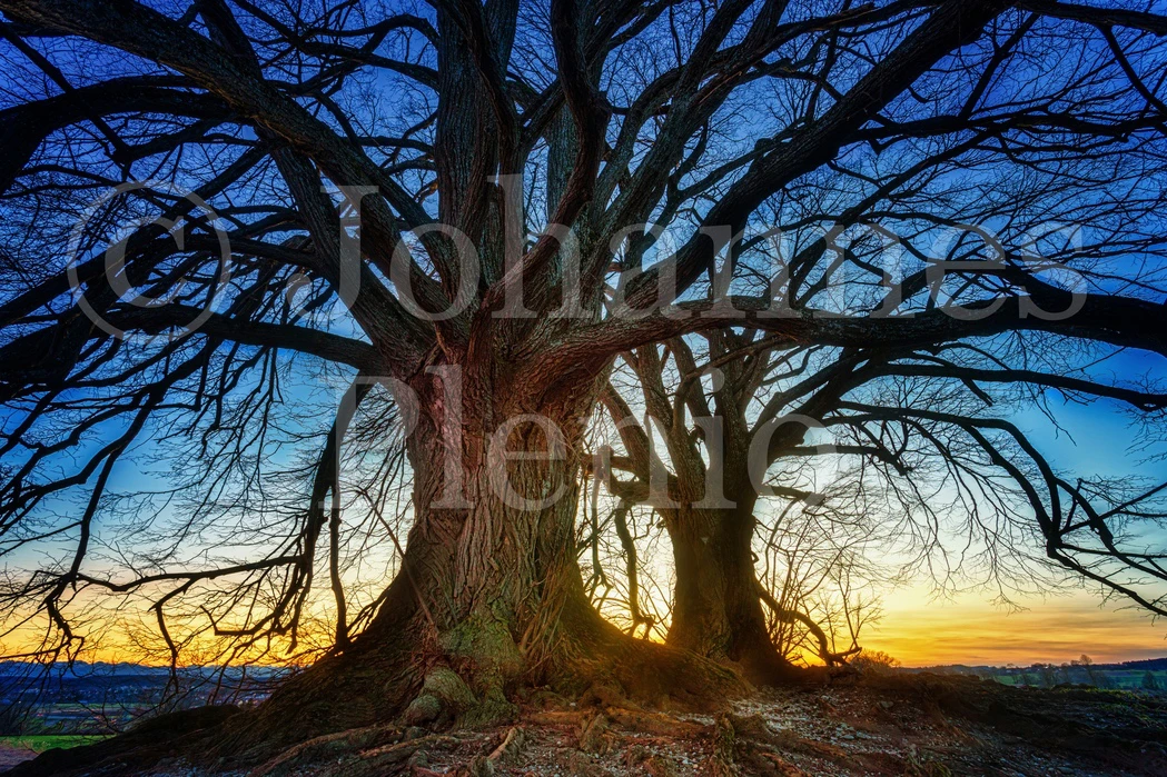 how to make a watermark