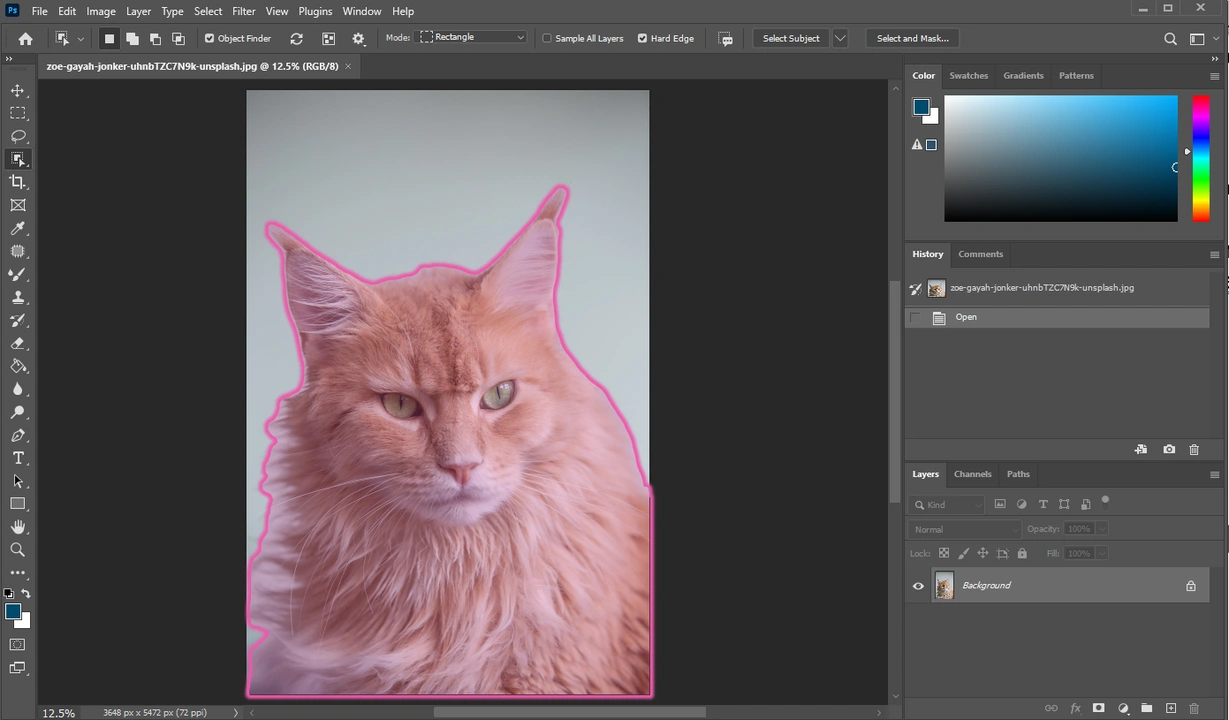 How to Cut Out An Image in Photoshop Using Layer Mask