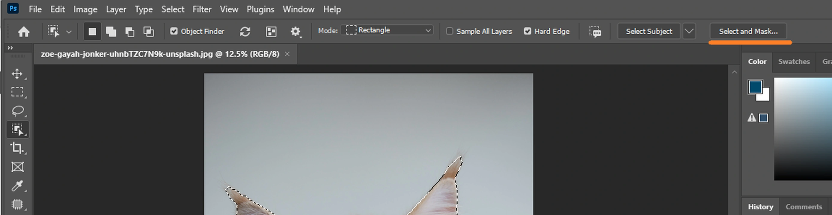 How to Cut Out An Image in Photoshop Using Layer Mask