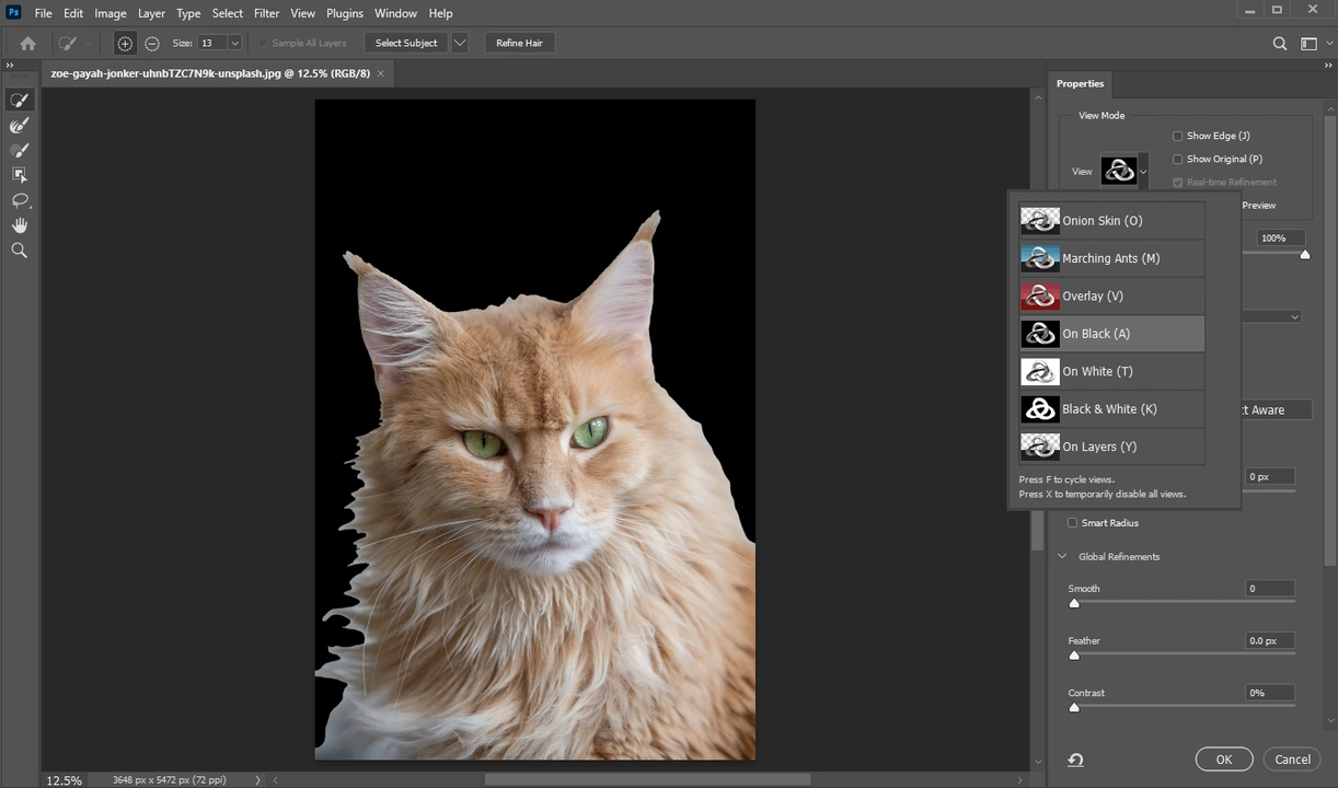 How to Cut Out An Image in Photoshop Using Layer Mask