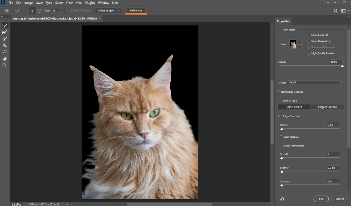 How to Cut Out An Image in Photoshop Using Layer Mask