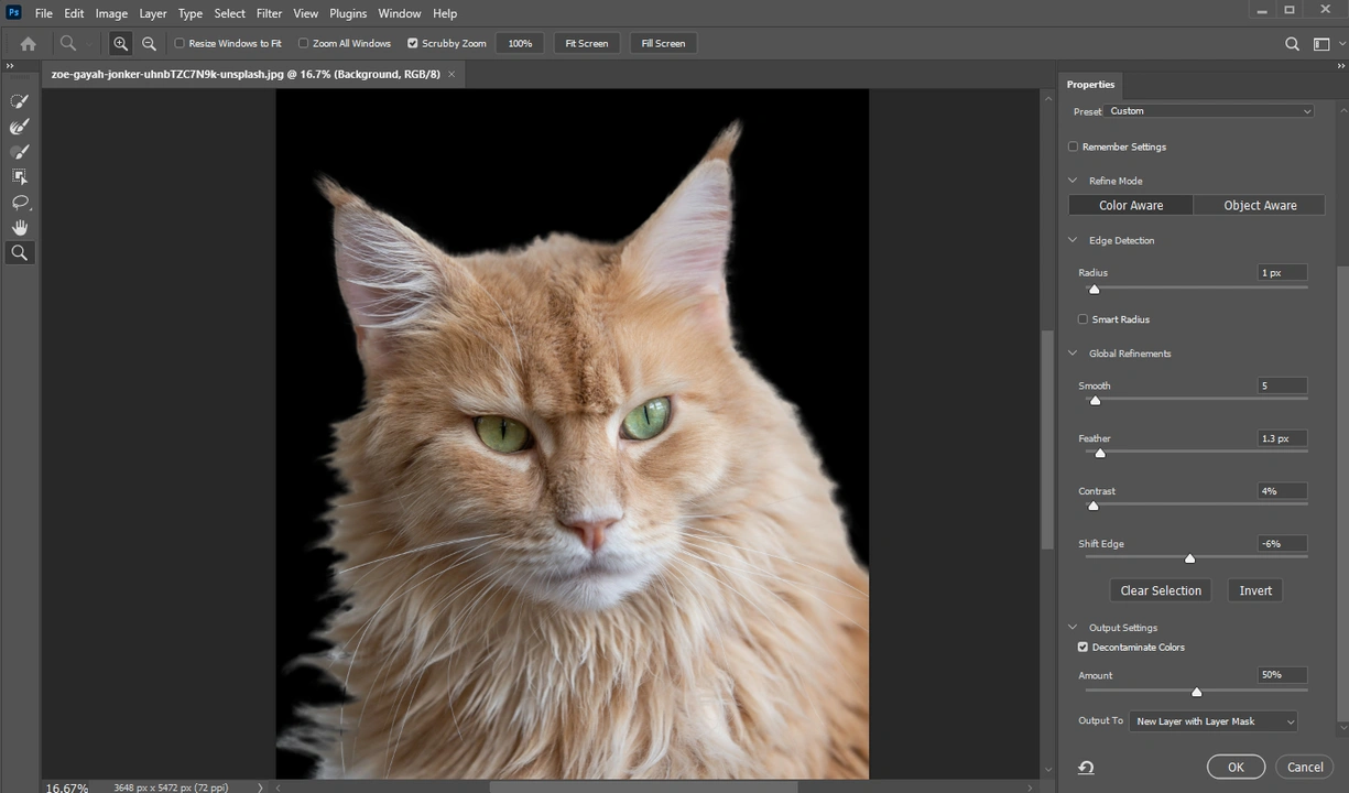 How to Cut Out An Image in Photoshop Using Layer Mask