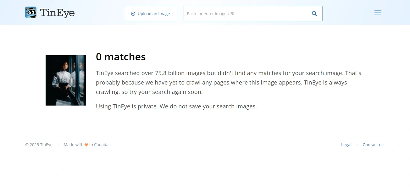 How to Check If a Photo Was Stolen in TinEye